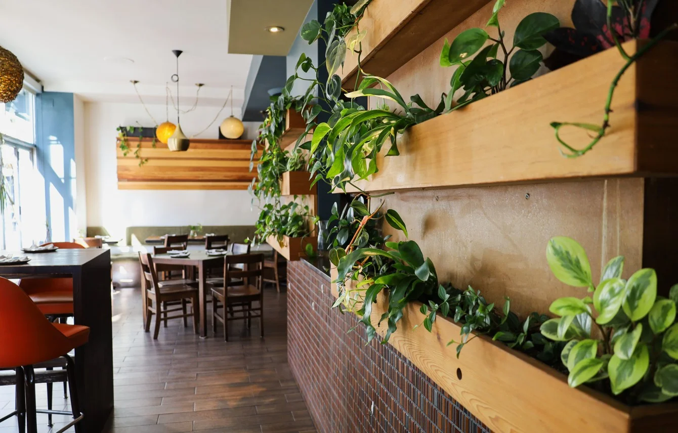 Fresh vegetarian cuisine at The Coup restaurant Calgary